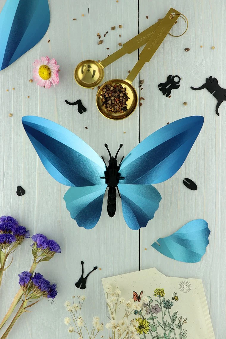 3D-Bastelset DIY - Bastelsets DIY - Bastel - Set - Birdwing Schmetterling - Blau 3 3D-Bastelset DIY - Bastelsets DIY - Bastel - Set - Birdwing Schmetterling - Blau