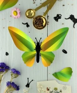 3D-Bastelset DIY - Bastel - Set - Birdwing Schmetterling - Grün DIY - Bastelsets