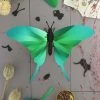 3D-Bastelset DIY - Bastelset - Swordtail Türkis