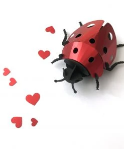 3D-Bastelset DIY - Bastel - Set - Marienkäfer