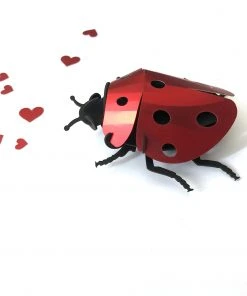 3D-Bastelset DIY - Bastel - Set - Marienkäfer