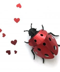 3D-Bastelset DIY - Bastel - Set - Marienkäfer