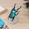 3D-Bastelset DIY - Bastelset - Hirschkäfer Blau Grün DIY - Bastelsets