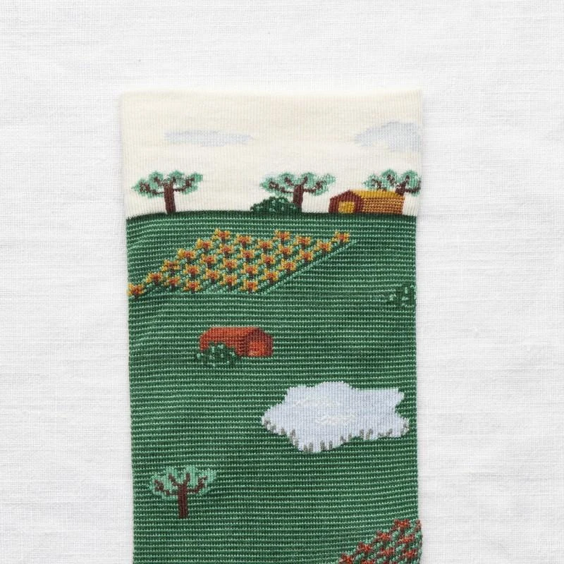 Bonne Maison Socken Ming Tractor SALE Bonne Maison Socken Ming Tractor SALE