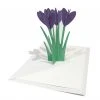 Cut & Make Glückwunsch Und Grußkarten Krokus Karte
