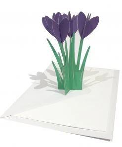 Cut & Make Glückwunsch Und Grußkarten Krokus Karte