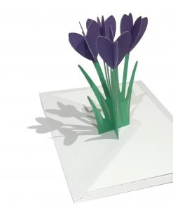 Cut & Make Glückwunsch Und Grußkarten Krokus Karte
