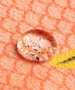 DonFisher Pink Señorita | Geldbörse - Fisch Geldbörsen