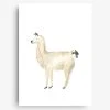 Farina Kuklinski Lama - Poster DIN A4 Wanddekoration