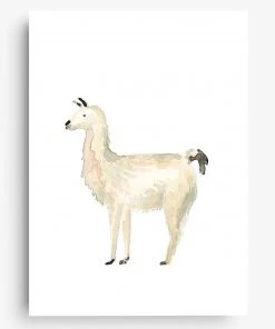 Farina Kuklinski Lama - Poster DIN A4 Wanddekoration