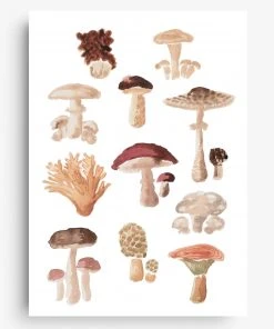 Farina Kuklinski Pilze - Poster DIN A4 Wanddekoration