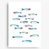 Farina Kuklinski Sardinen Fische - Poster DIN A4 Wanddekoration