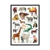 Farina Kuklinski Für's Kinderzimmer ABC - Tier- Poster Im Rahmen 30x40 Cm