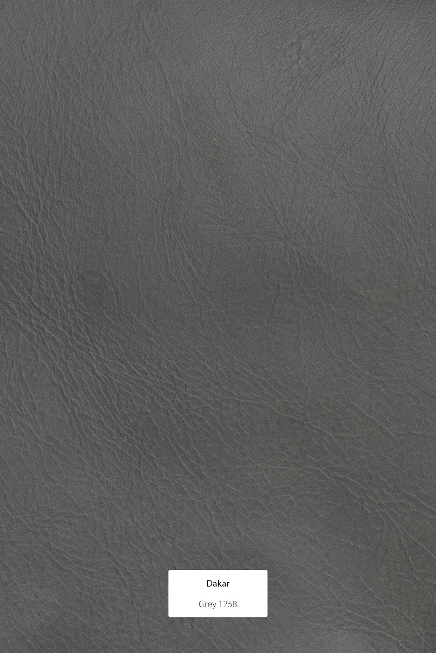 Gazzda NORA Stuhl Aus Massiver Eiche Mit Lederbezug - 2 Stühle / 575 € Pro Stuhl Möbel Gazzda NORA Stuhl Aus Massiver Eiche Mit Lederbezug - 2 Stühle / 575 € Pro Stuhl Möbel