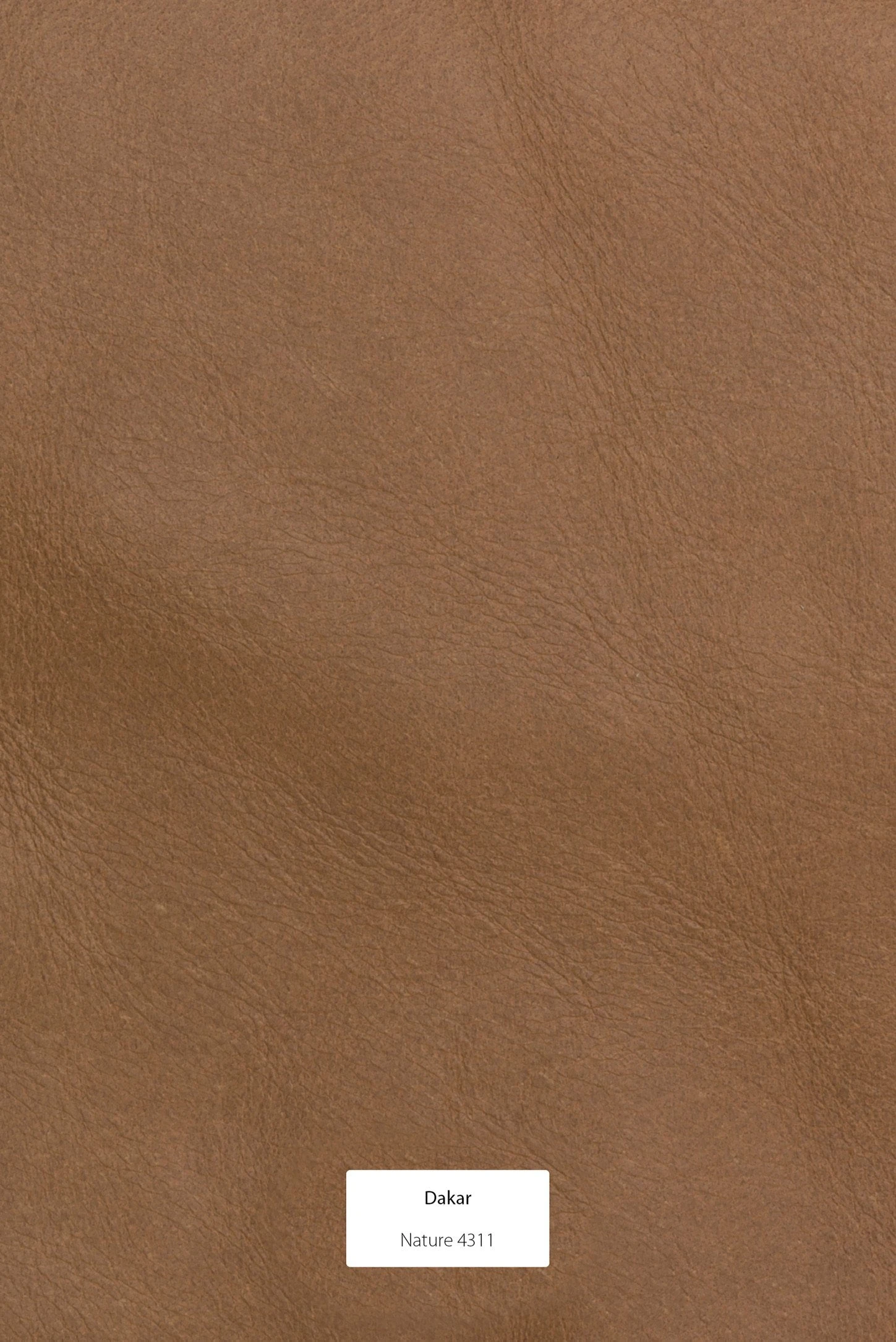 Gazzda NORA Stuhl Aus Massiver Eiche Mit Lederbezug - 2 Stühle / 575 € Pro Stuhl Möbel Gazzda NORA Stuhl Aus Massiver Eiche Mit Lederbezug - 2 Stühle / 575 € Pro Stuhl Möbel