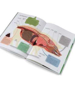 Gestalten Schwein Gehabt 8 Gestalten Schwein Gehabt