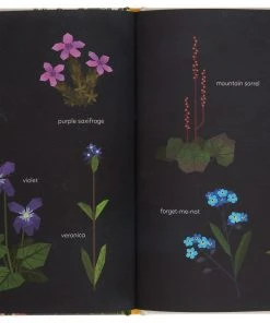 Gestalten The Mistery Of The Golden Wonderflower