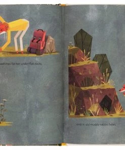 Gestalten The Mistery Of The Golden Wonderflower