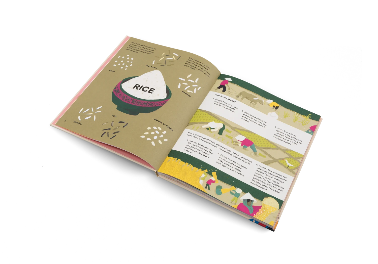 Gestalten A Taste Of The World - Leckereien Und Feste Rund Um Die Welt - Englische Kinderbuch Kinderbücher Auf Deutsch 7 Gestalten A Taste Of The World - Leckereien Und Feste Rund Um Die Welt - Englische Kinderbuch Kinderbücher Auf Deutsch