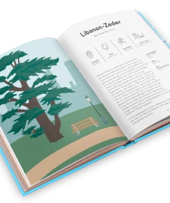 Helvetiq Arborama Kinderbücher Auf Deutsch