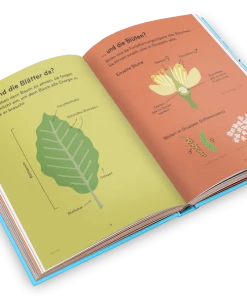 Helvetiq Arborama Kinderbücher Auf Deutsch