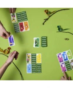 Spiele Papageno Spiel Von Helvetiq