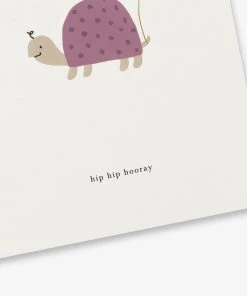 Kartotek Glückwunsch Und Grußkarten Geburtstagskarte Mit Schildkröte