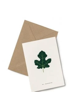 Kartotek Glückwunsch Und Grußkarten Grußkarte - Efeu No2 - Mission Fig