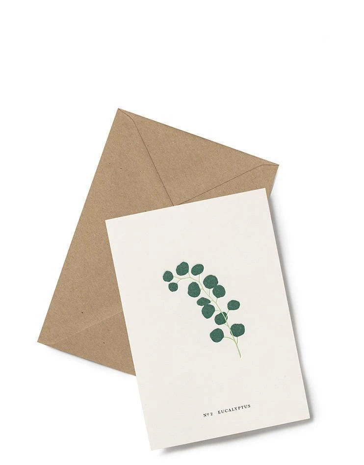 Kartotek Grußkarte - Eucalyptus No2 Glückwunsch Und Grußkarten 3 Kartotek Grußkarte - Eucalyptus No2 Glückwunsch Und Grußkarten
