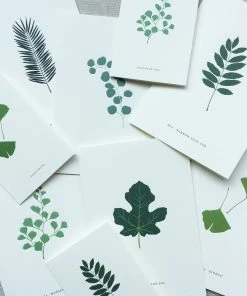 Kartotek Glückwunsch Und Grußkarten Grußkarte Gingko