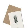 Kartotek Grußkarte - Palm No3 2 Kartotek Grußkarte - Palm No3