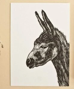 Katja Rub Grußkarte Esel Glückwunsch Und Grußkarten