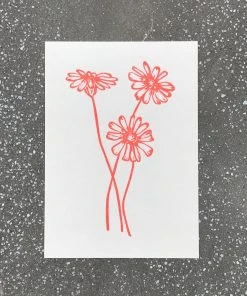 Letternpresse Gänseblümchen - Letterpress Grußkarte Glückwunsch Und Grußkarten