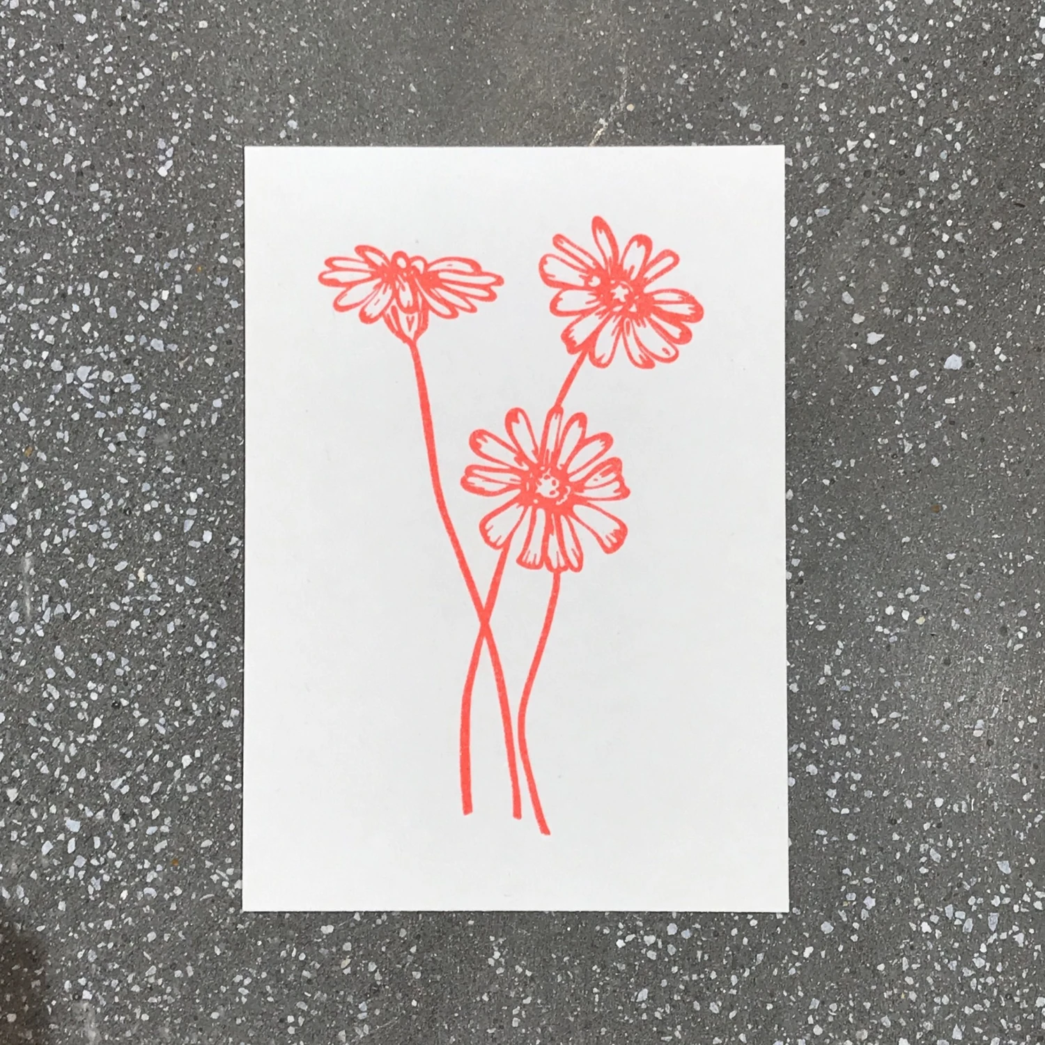 Letternpresse Gänseblümchen - Letterpress Grußkarte Glückwunsch Und Grußkarten 3 Letternpresse Gänseblümchen - Letterpress Grußkarte Glückwunsch Und Grußkarten