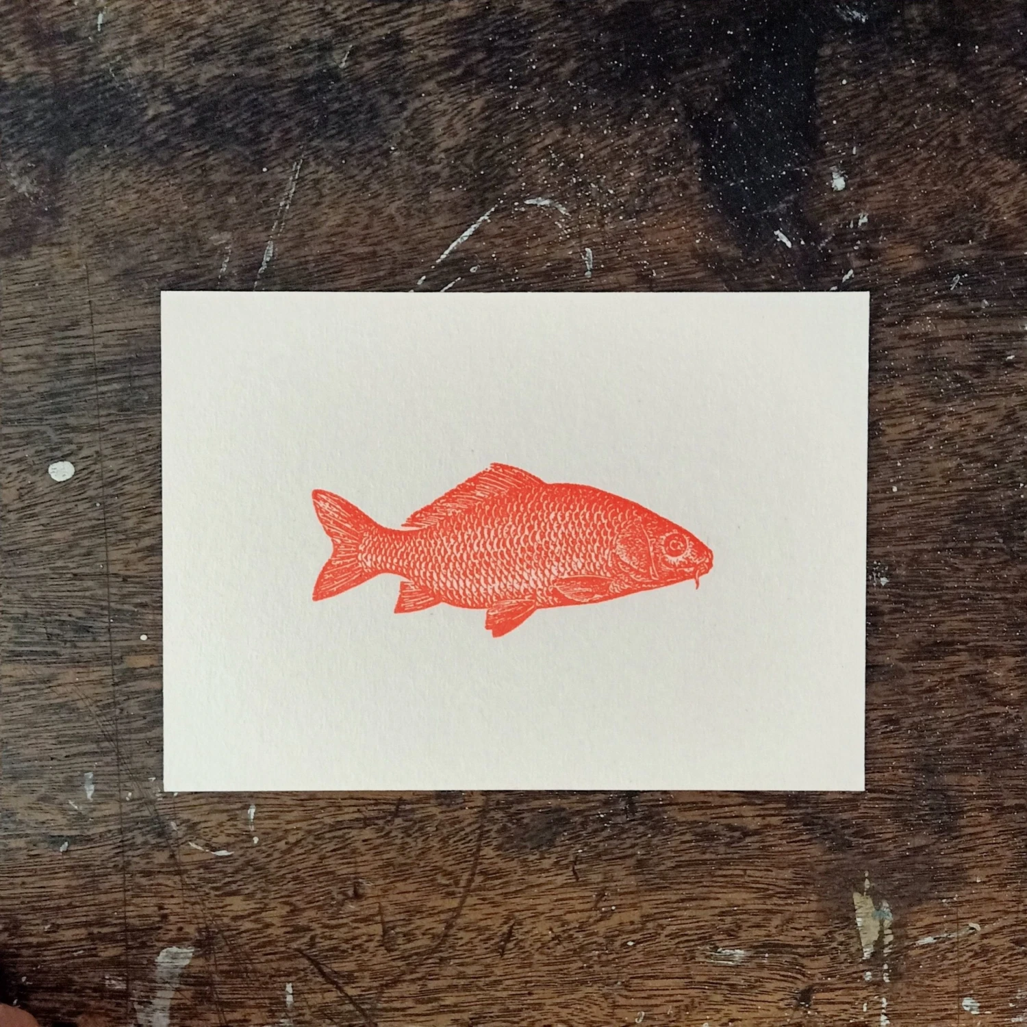 Letternpresse Glückwunsch Und Grußkarten Grußkarte Fisch I - Letterpress Letternpresse Glückwunsch Und Grußkarten Grußkarte Fisch I - Letterpress