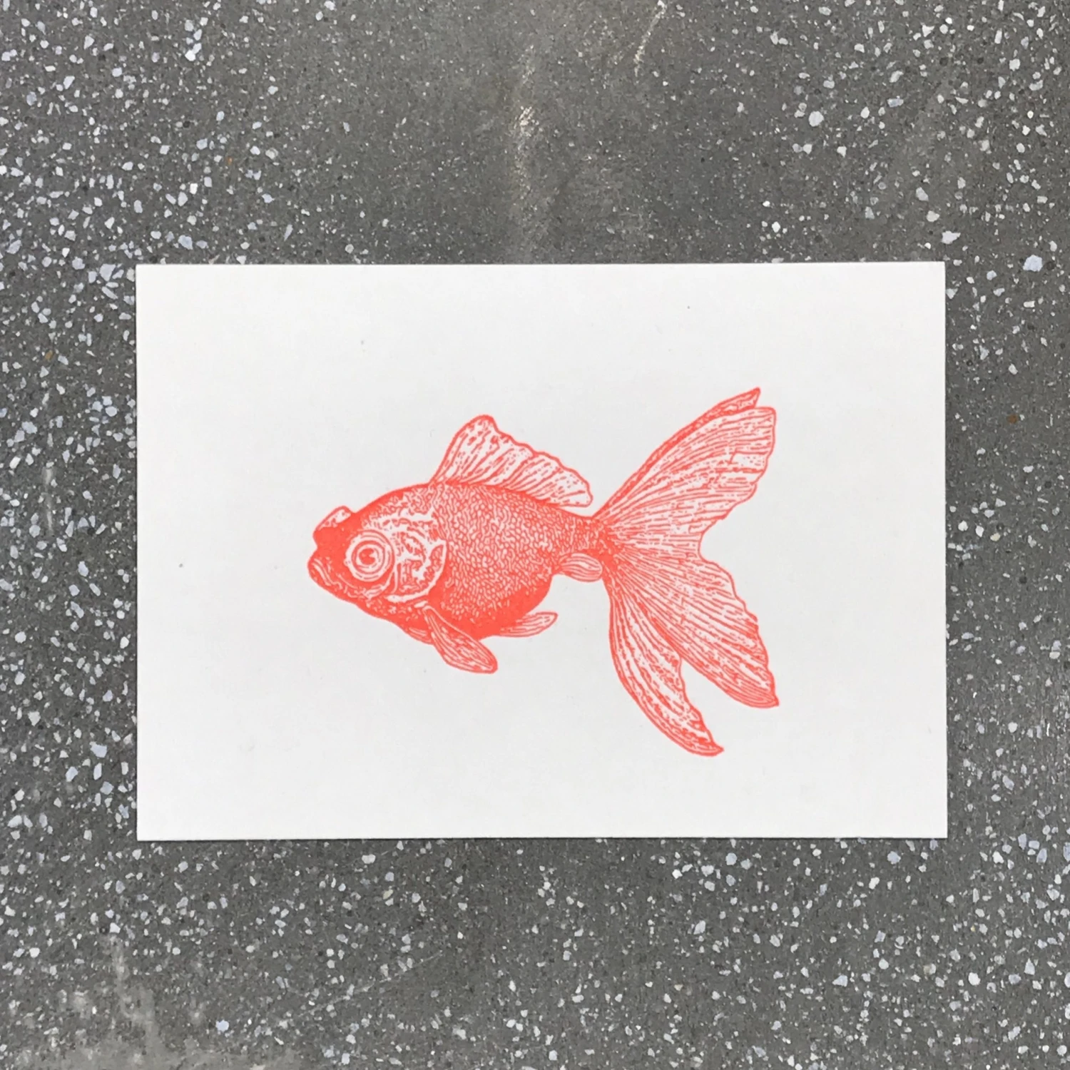 Letternpresse Grußkarte Fisch II - Letterpress 3 Letternpresse Grußkarte Fisch II - Letterpress