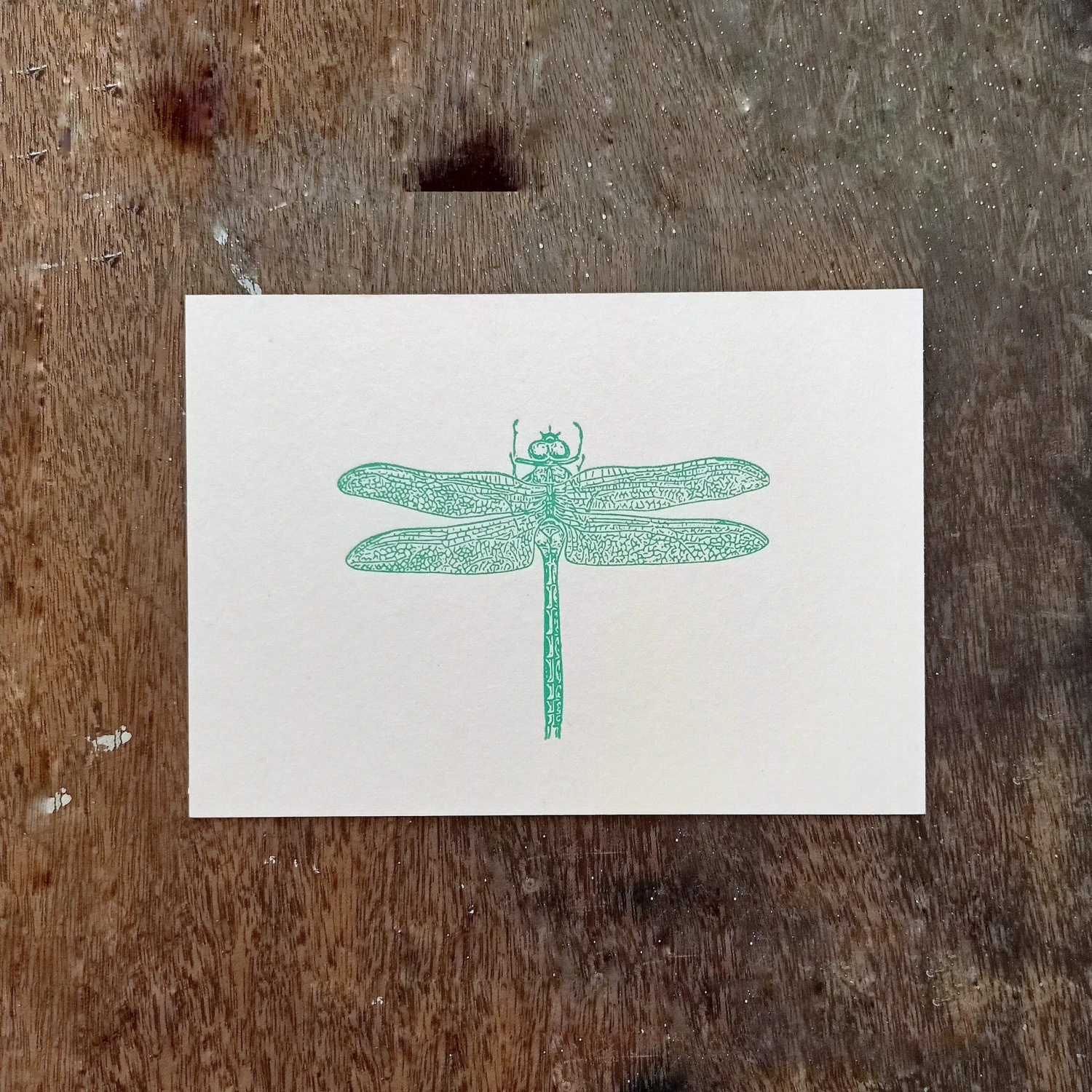 Letternpresse Glückwunsch Und Grußkarten Libelle - Letterpress Grußkarte 3 Letternpresse Glückwunsch Und Grußkarten Libelle - Letterpress Grußkarte