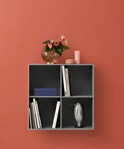 Möbel Montana Show Regal 1112 - 38cm Tiefe Mit Wandaufhängung