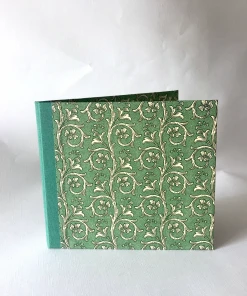 Nauli CD / DVD Hüllen CD Hülle / DVD Verpackung - Organische Ranken Grün