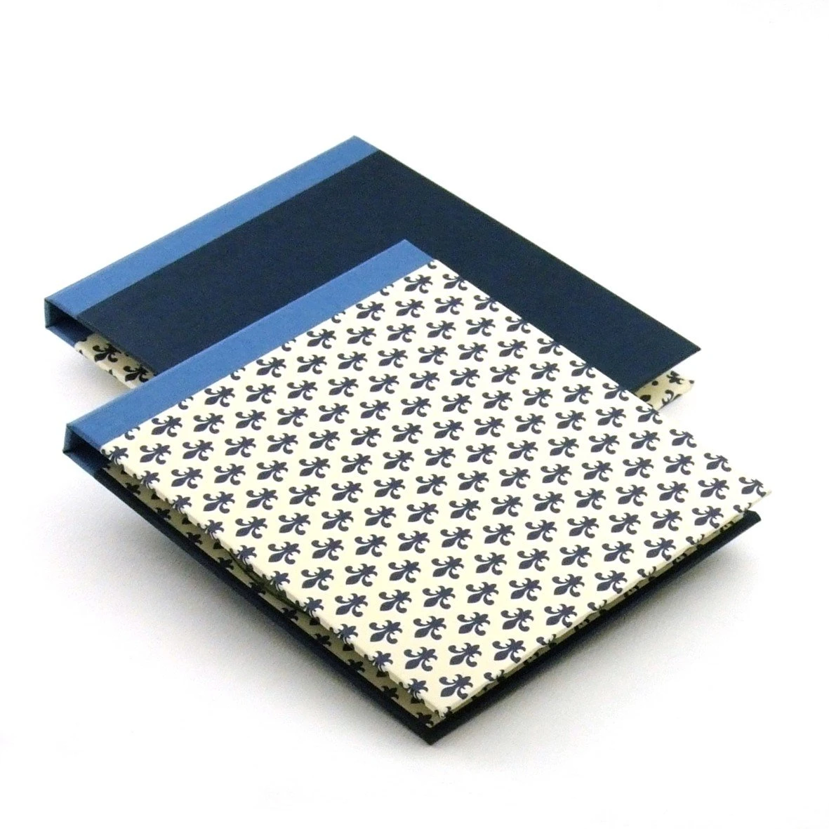 Nauli Doppel CD/ DVD Hülle Blaue Lilie - Fleur Des Lys 3 Nauli Doppel CD/ DVD Hülle Blaue Lilie - Fleur Des Lys