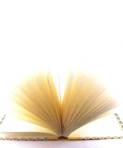 Nauli Fotoalben & Leporellos Fotoalbum M Englische Blumen Braun Mit Hellem Buchleinen 11 Nauli Fotoalben & Leporellos Fotoalbum M Englische Blumen Braun Mit Hellem Buchleinen