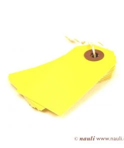 Nauli Geschenkanhänger Bauklötze Rot Grün Blau Gelb Geschenkverpackungen