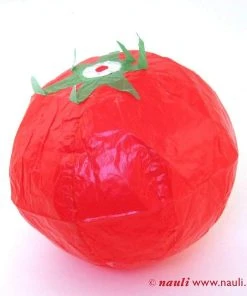 Nauli Kinder Papierballon Tomate