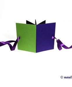 Nauli Leporello / Foto Faltbuch Blockfarben Apfelgrün Und Lila