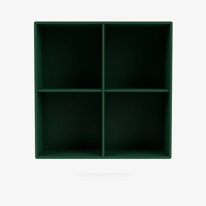 Montana Show Regal 1112 - 30cm Tiefe Mit Wandaufhängung Möbel Montana Show Regal 1112 - 30cm Tiefe Mit Wandaufhängung Möbel