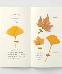 Traveler's Company Traveler's Notebook Regular 025 Blank Paper Cream