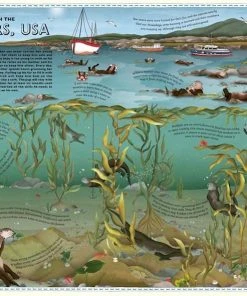 Wide Eyed Editions Kinderbücher Auf Englisch Atlas Of Ocean Adventures