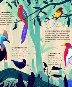Wide Eyed Editions WORLD OF BIRDS - Sounds Of Nature Kinderbücher Auf Englisch